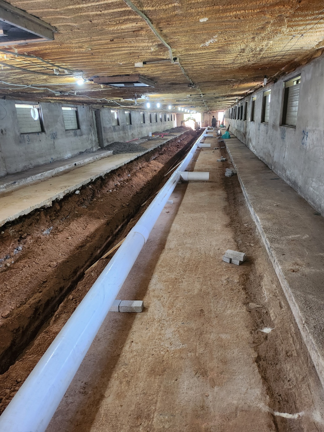 2000769928_zqyuKsZk_fda4c56fc9fb50408daf7a40d850765b3f462c36.jpg 이미지크게보기